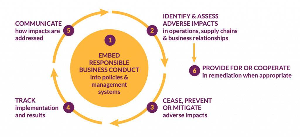 The Due Diligence Framework: Building a Better Future for Women Workers ...